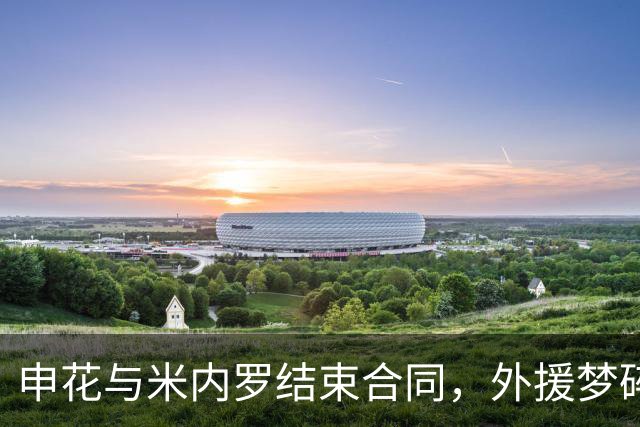 申花与米内罗结束合同，外援梦碎引发媒体热议